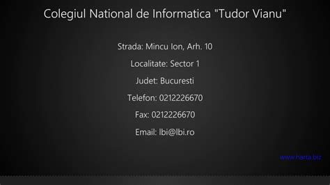 tudor vianu informatica.